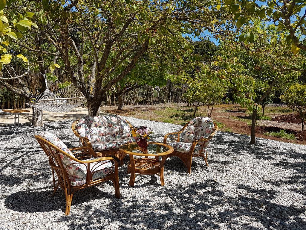Apartamento Magnolia *