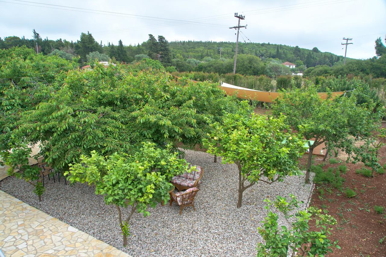 Magnolia Fiskardo