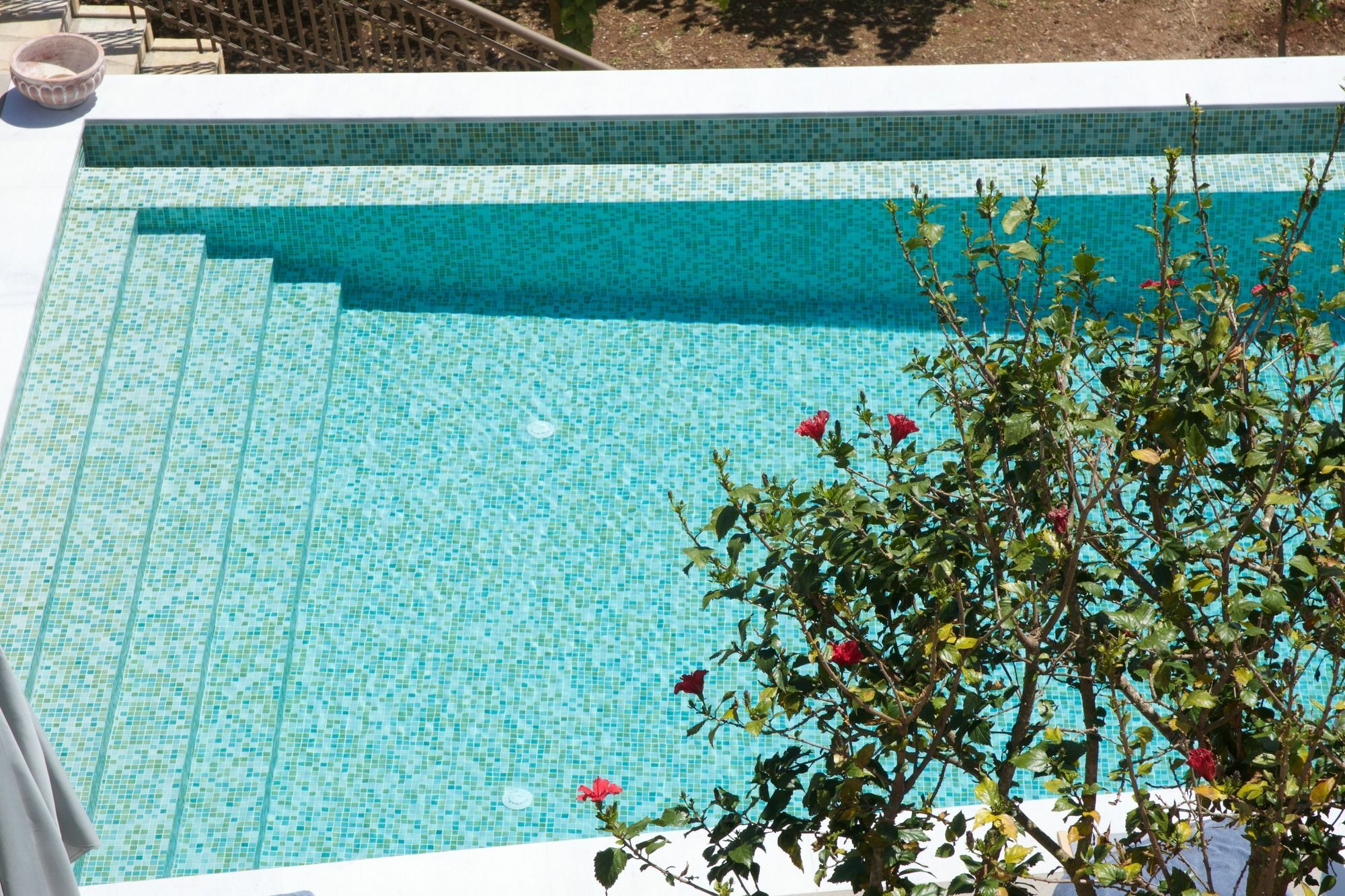Apartamento Magnolia